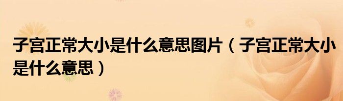 子宮正常大小是什么意思圖片（子宮正常大小是什么意思）