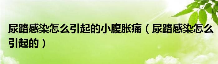 尿路感染怎么引起的小腹脹痛（尿路感染怎么引起的）