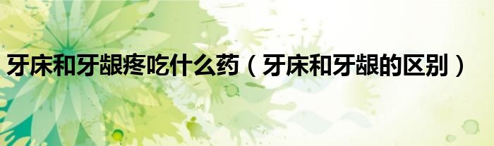 牙床和牙齦疼吃什么藥（牙床和牙齦的區(qū)別）