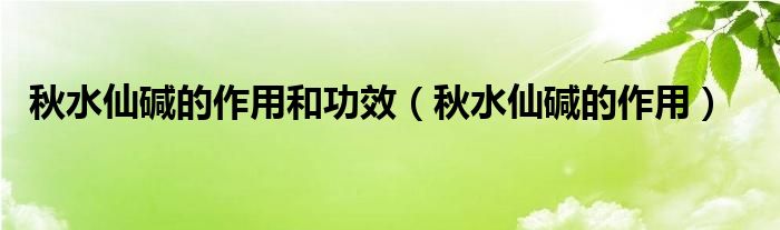秋水仙堿的作用和功效（秋水仙堿的作用）