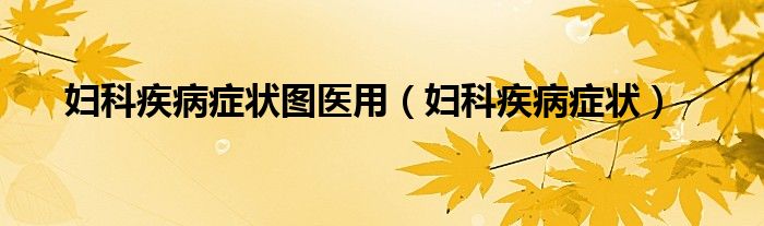 婦科疾病癥狀圖醫(yī)用（婦科疾病癥狀）