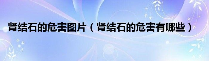 腎結(jié)石的危害圖片（腎結(jié)石的危害有哪些）