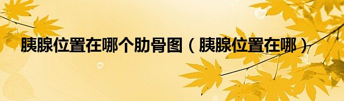 胰腺位置在哪個(gè)肋骨圖（胰腺位置在哪）