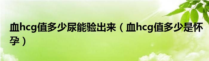 血hcg值多少尿能驗(yàn)出來（血hcg值多少是懷孕）