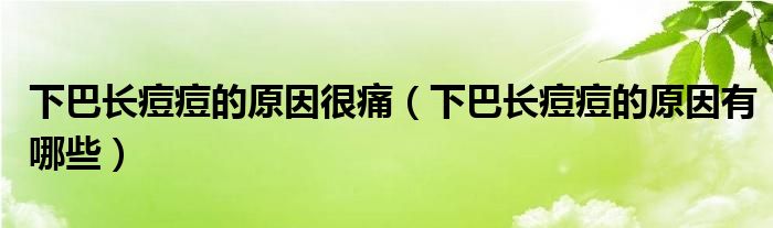 下巴長(zhǎng)痘痘的原因很痛（下巴長(zhǎng)痘痘的原因有哪些）