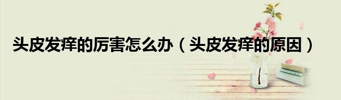 頭皮發(fā)癢的厲害怎么辦(頭皮發(fā)癢的原因)