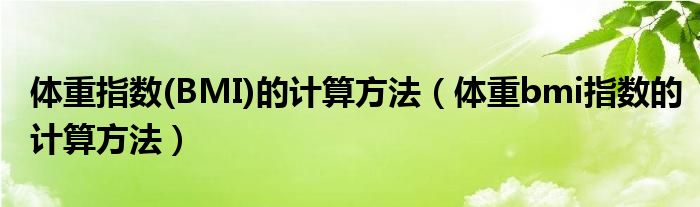 體重指數(shù)(BMI)的計(jì)算方法（體重bmi指數(shù)的計(jì)算方法）