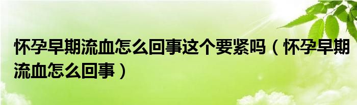 懷孕早期流血怎么回事這個(gè)要緊嗎（懷孕早期流血怎么回事）