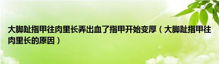大腳趾指甲往肉里長(zhǎng)弄出血了指甲開(kāi)始變厚（大腳趾指甲往肉里長(zhǎng)的原因）