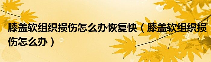 膝蓋軟組織損傷怎么辦恢復(fù)快（膝蓋軟組織損傷怎么辦）