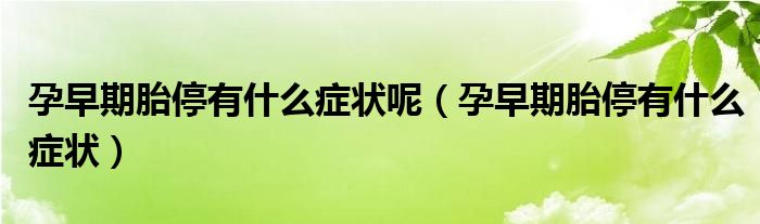 孕早期胎停有什么癥狀呢（孕早期胎停有什么癥狀）