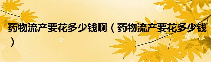 藥物流產(chǎn)要花多少錢?。ㄋ幬锪鳟a(chǎn)要花多少錢）