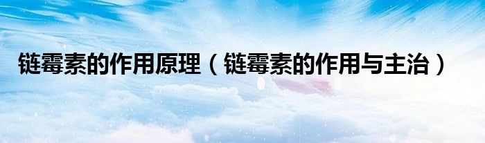 鏈霉素的作用原理（鏈霉素的作用與主治）