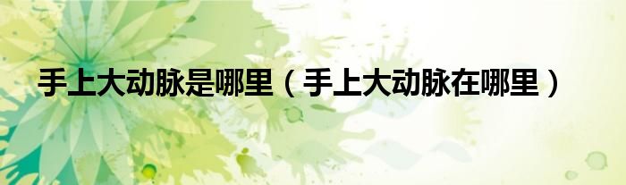 手上大動脈是哪里（手上大動脈在哪里）