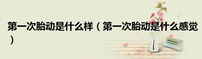 第一次胎動是什么樣（第一次胎動是什么感覺）