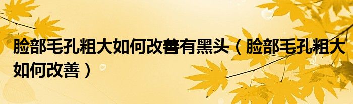 臉部毛孔粗大如何改善有黑頭（臉部毛孔粗大如何改善）
