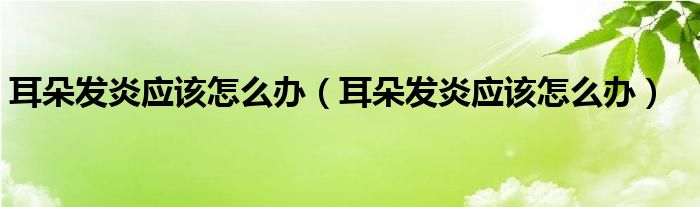 耳朵發(fā)炎應(yīng)該怎么辦（耳朵發(fā)炎應(yīng)該怎么辦）