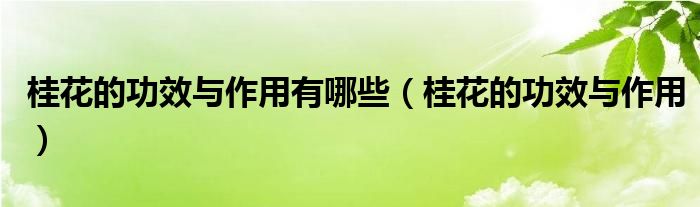 桂花的功效與作用有哪些（桂花的功效與作用）