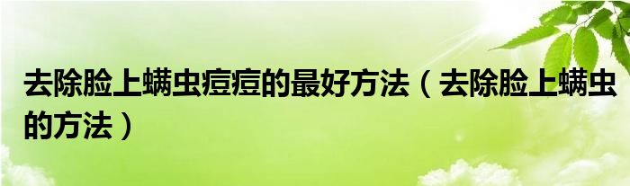 去除臉上螨蟲痘痘的最好方法(去除臉上螨蟲的方法)