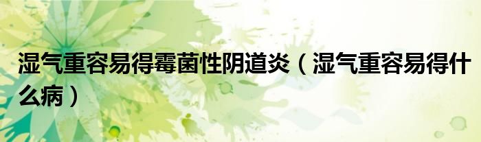 濕氣重容易得霉菌性陰道炎（濕氣重容易得什么?。?class='thumb lazy' /></a>
		    <header>
		<h2><a  href=