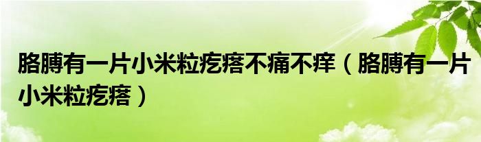 胳膊有一片小米粒疙瘩不痛不癢（胳膊有一片小米粒疙瘩）