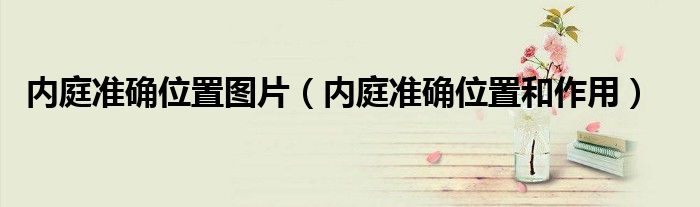內(nèi)庭準(zhǔn)確位置圖片（內(nèi)庭準(zhǔn)確位置和作用）