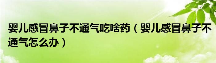 嬰兒感冒鼻子不通氣吃啥藥（嬰兒感冒鼻子不通氣怎么辦）