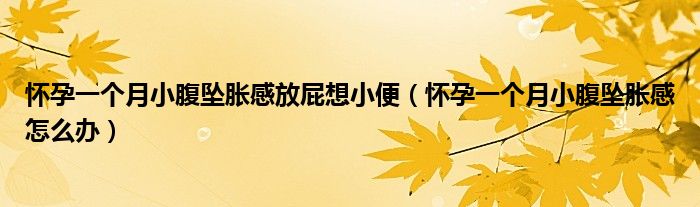 懷孕一個月小腹墜脹感放屁想小便（懷孕一個月小腹墜脹感怎么辦）