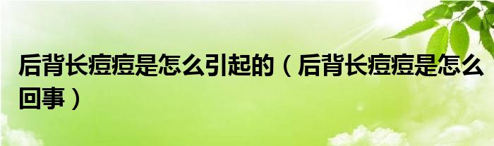 后背長痘痘是怎么引起的（后背長痘痘是怎么回事）
