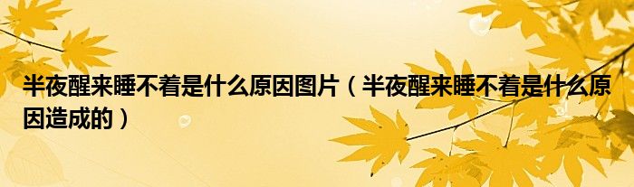 半夜醒來(lái)睡不著是什么原因圖片（半夜醒來(lái)睡不著是什么原因造成的）