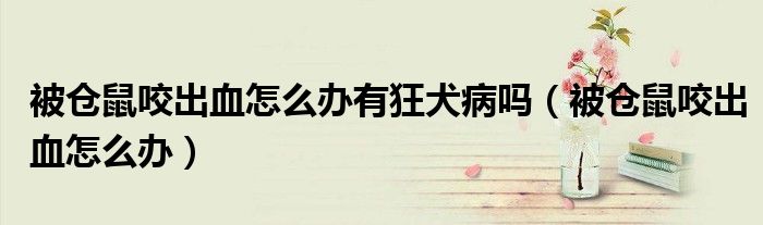 被倉(cāng)鼠咬出血怎么辦有狂犬病嗎（被倉(cāng)鼠咬出血怎么辦）