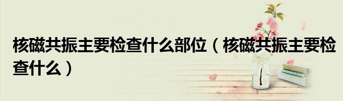 核磁共振主要檢查什么部位（核磁共振主要檢查什么）