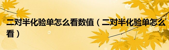 二對(duì)半化驗(yàn)單怎么看數(shù)值（二對(duì)半化驗(yàn)單怎么看）