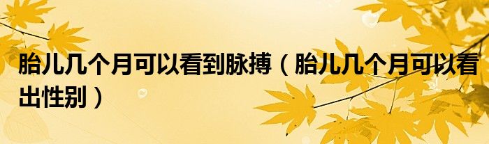 胎兒幾個月可以看到脈搏（胎兒幾個月可以看出性別）