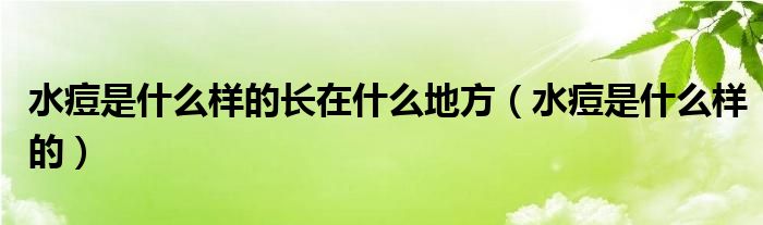 水痘是什么樣的長(zhǎng)在什么地方（水痘是什么樣的）