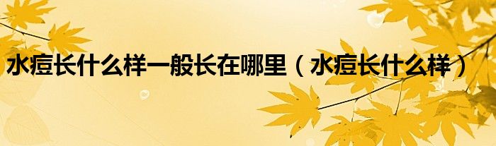 水痘長什么樣一般長在哪里（水痘長什么樣）