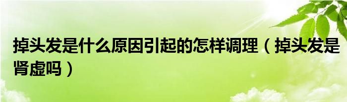 掉頭發(fā)是什么原因引起的怎樣調(diào)理（掉頭發(fā)是腎虛嗎）