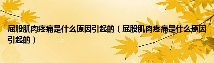 屁股肌肉疼痛是什么原因引起的（屁股肌肉疼痛是什么原因引起的）