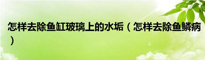 怎樣去除魚缸玻璃上的水垢（怎樣去除魚鱗?。?class='thumb lazy' /></a>
		    <header>
		<h2><a  href=