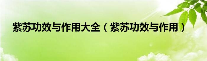 紫蘇功效與作用大全（紫蘇功效與作用）