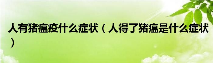 人有豬瘟疫什么癥狀（人得了豬瘟是什么癥狀）