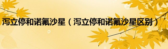 瀉立停和諾氟沙星（瀉立停和諾氟沙星區(qū)別）