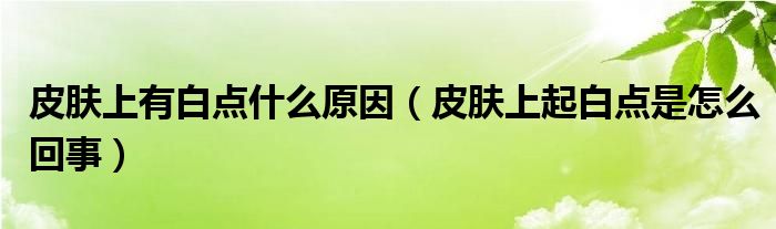 皮膚上有白點(diǎn)什么原因（皮膚上起白點(diǎn)是怎么回事）