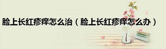 臉上長紅疹癢怎么治（臉上長紅疹癢怎么辦）