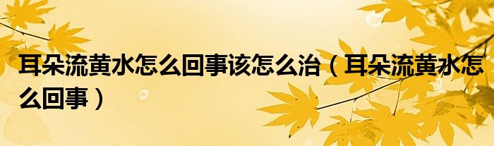 耳朵流黃水怎么回事該怎么治（耳朵流黃水怎么回事）