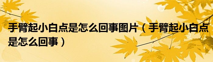 手臂起小白點(diǎn)是怎么回事圖片（手臂起小白點(diǎn)是怎么回事）