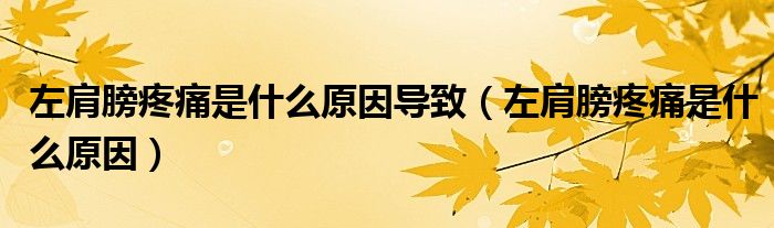 左肩膀疼痛是什么原因?qū)е拢ㄗ蠹绨蛱弁词鞘裁丛颍?class='thumb lazy' /></a>
		    <header>
		<h2><a  href=