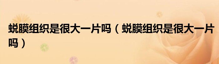 蛻膜組織是很大一片嗎（蛻膜組織是很大一片嗎）
