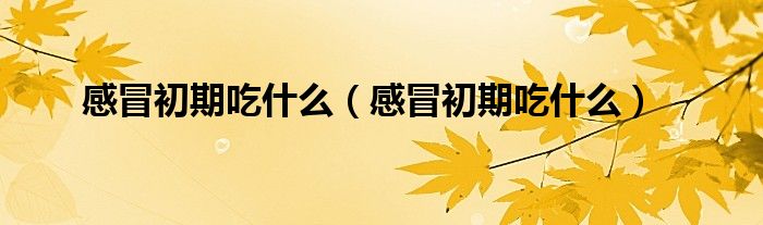 感冒初期吃什么(感冒初期吃什么)