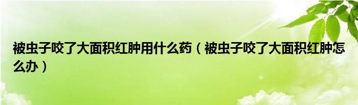 被蟲(chóng)子咬了大面積紅腫用什么藥（被蟲(chóng)子咬了大面積紅腫怎么辦）